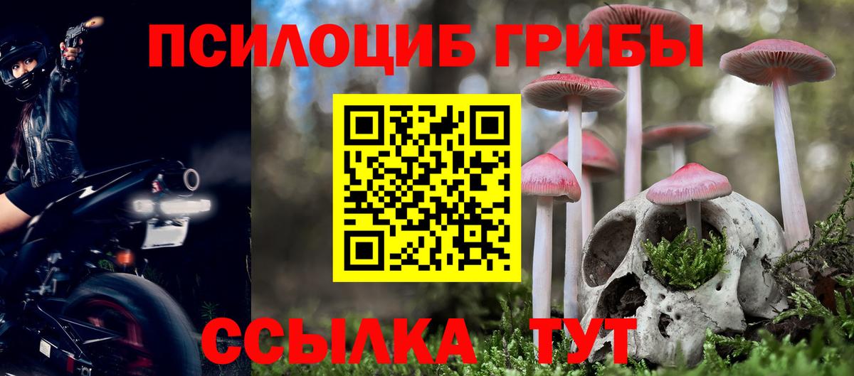 Белебей  Псилоцибиновые грибы Cubensis  Псилоцибиновые грибы Psilocybe  Вход с VPN 